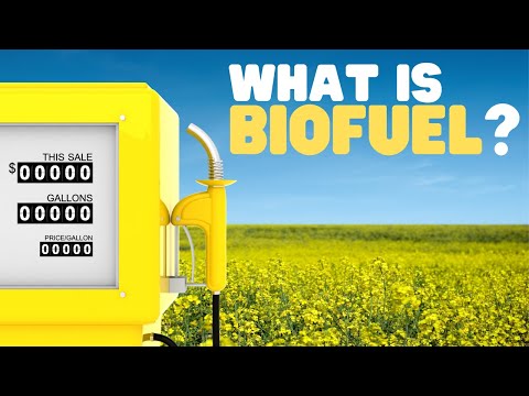 Understanding the Significance of the Biofuel Act Signing