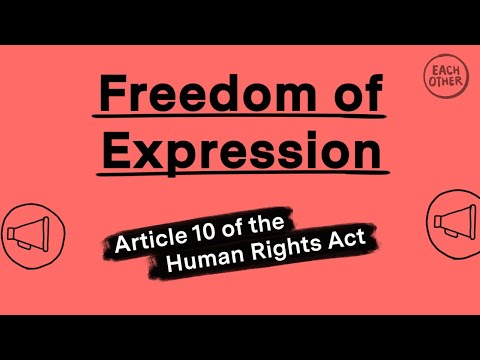Understanding the Right to Freedom of Expression in Articles