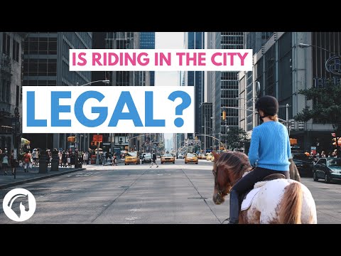 Understanding the Legalities of Riding Horses in Different Locations