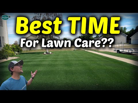 The Best Time to Skip Mowing Your Lawn