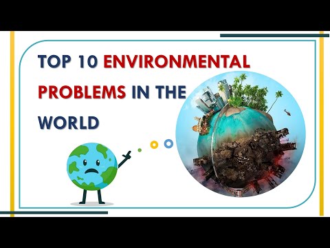 Identifying Sustainability Missteps: Which Practices Fall Short?