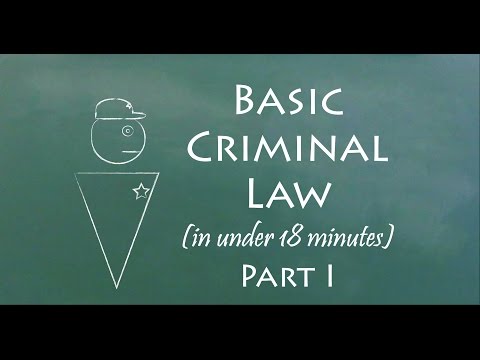 Understanding the Criminal System: Key Components and Processes