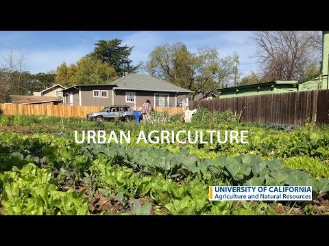 Understanding California's Urban Agriculture Policy: Key Regulations and Guidelines