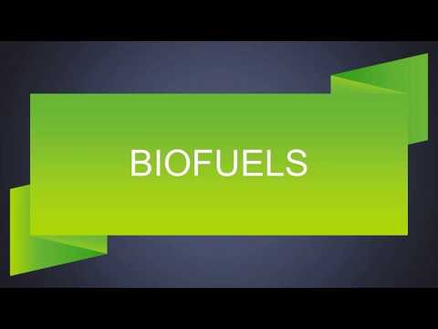 Key Figure Responsible for Signing the Biofuel Act of 2006