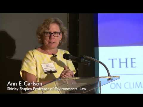 International Environmental Law Yearbook: Insights and Updates