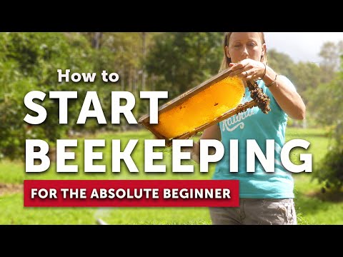 Understanding the Legality of Keeping a Beehive in Your Backyard in the UK