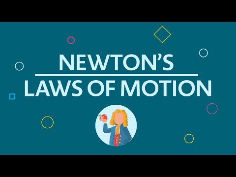 Understanding the Four Laws of Conservation: A Comprehensive Overview