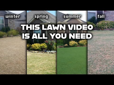 Essential Steps for Starting Your Lawn Care Routine