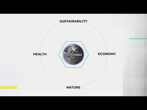Understanding the Implementation of Net Zero Law in the UK