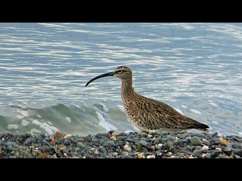 Understanding Schedule 1a of the Wildlife and Countryside Act 1981