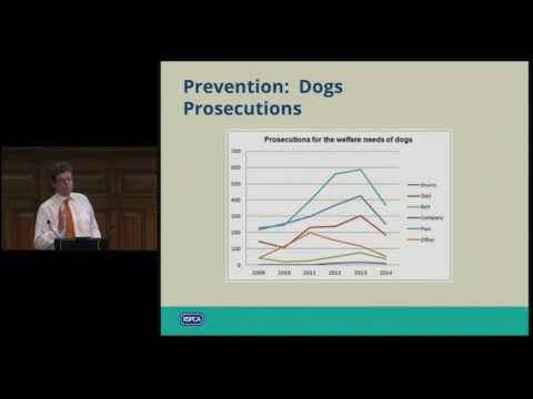 Understanding Section 20 of the Animal Welfare Act