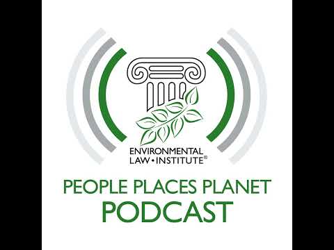 Key Facts: The UK Clean Air Act Implementation Date
