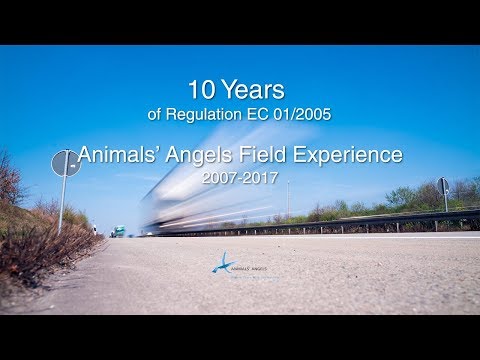 Understanding Regulation 1 2005 Transport and Its Implications