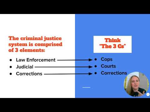 Understanding the Criminal Justice System: An In-Depth Look