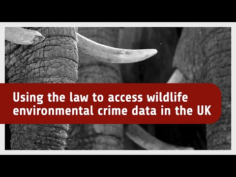 Understanding the Wildlife Act in the UK: Key Regulations and Enforcement
