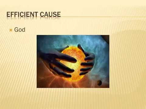 The Influence of Aristotle on Natural Law Theory