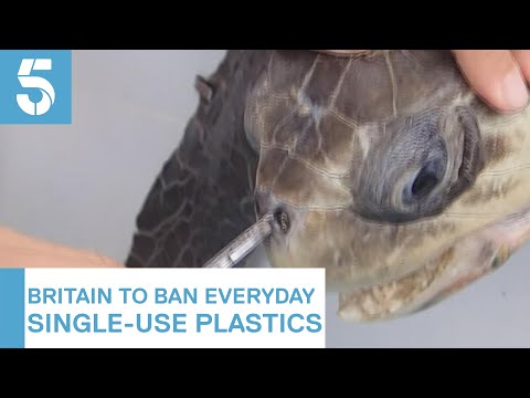 Regulations on the Use of Plastic Straws in the UK