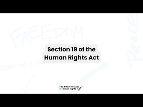 Understanding Section 19 of the Transport Act 1985