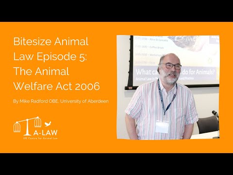 Understanding Which Animals Are Excluded from the Animal Welfare Act UK