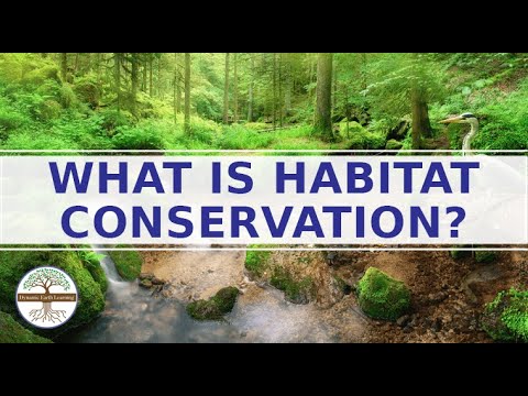 Understanding Regulation 43: Conservation of Habitats in Plain Terms