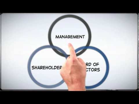 Understanding the Structure and Function of Corporate Law