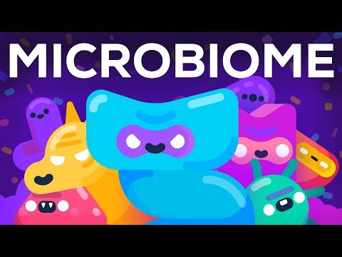 Understanding the Role of Bacteria in Poop Decomposition