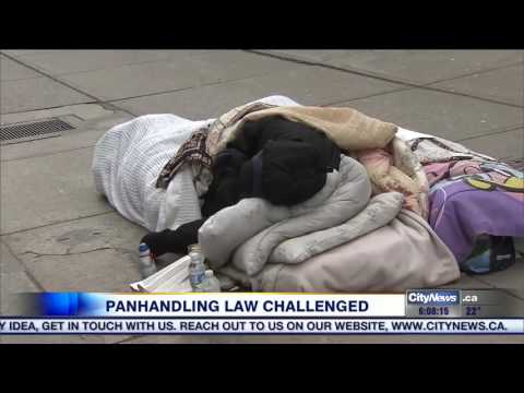 Understanding the Legality of Begging in Toronto