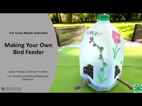 Understanding the Legality of Feeding Birds in Your Own Garden