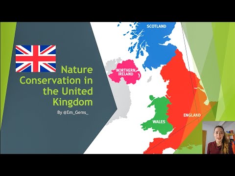 Understanding the Scope of the Wildlife and Countryside Act