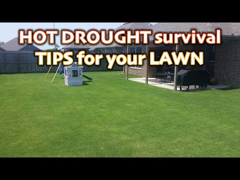 Optimal Lawn Care: Proper Watering Techniques for Hot Weather