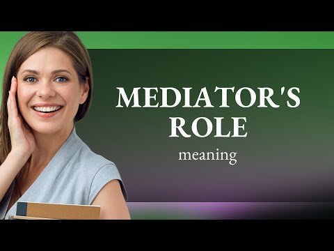 Understanding the Impact of Mediation in Conflict Resolution