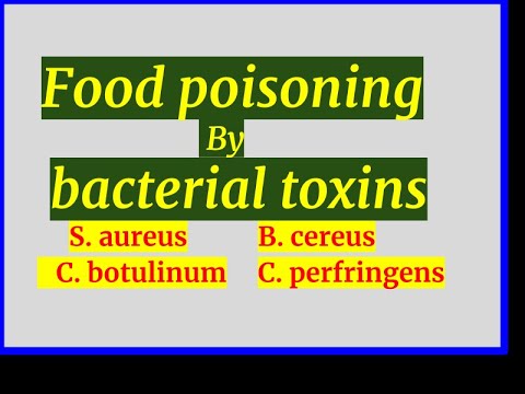 Investigating Bacteria Resistant to Cooking Methods