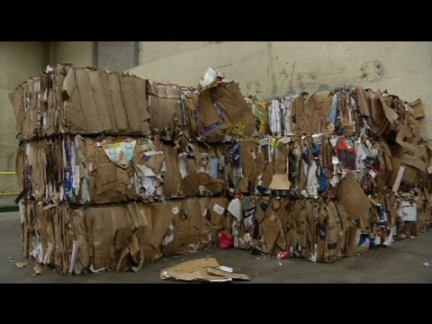 Business Recycling: Legal Obligations Explained