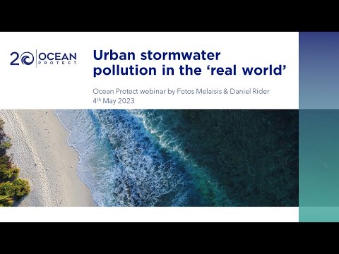 The Effects of Stormwater Pollution on Nearby Waterways: A Comprehensive Analysis