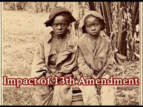 The Impact of the Amendment That Abolished Slavery