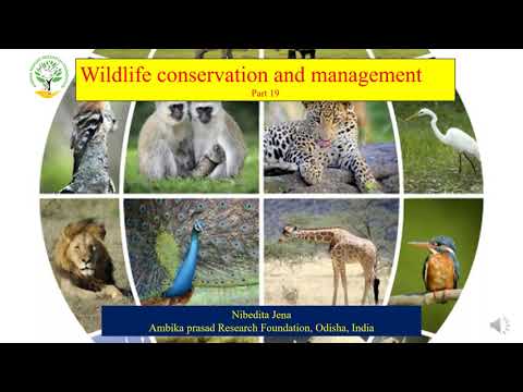 Understanding Section 19 of the Wildlife Act: A Detailed Explanation