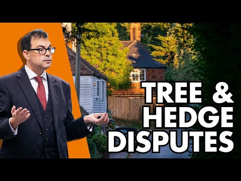 Understanding the Legal Height Limit of a Neighbour's Tree in Your Area