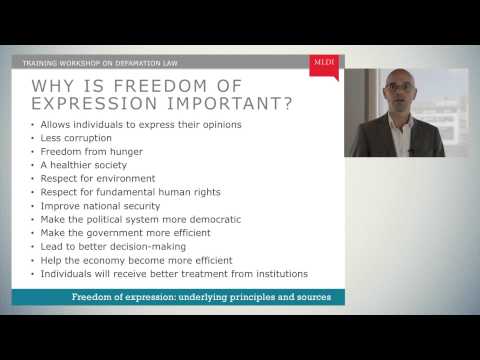 The Importance of Freedom of Expression in a Democratic Society
