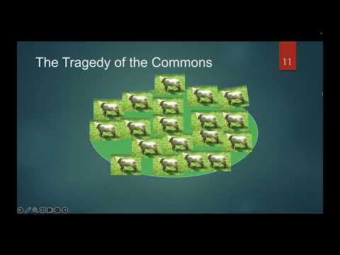 The Legal Protection of Historic Buildings: A Comprehensive Overview