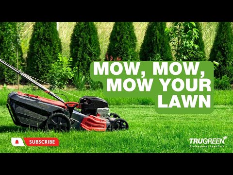 Understanding the Law: Mowing Your Lawn on Sundays in the UK