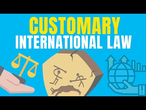 Understanding State Practice in International Law