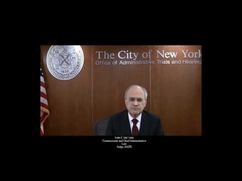 Navigating Craig Administrative Law: Everything You Need to Know