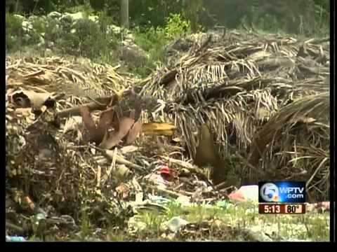 The Impact of Illegal Dumping: Uncovering the Side Effects