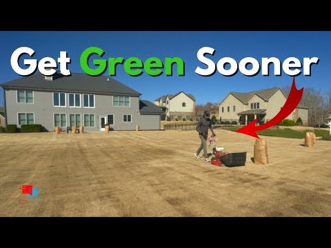 The Benefits of Scalping Your Lawn: A Comprehensive Explanation