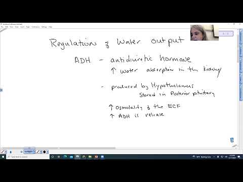 Understanding the Regulation of Water Input: A Comprehensive Overview
