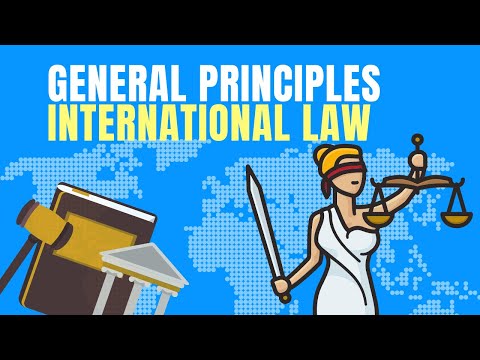 Understanding Contemporary International Law: Key Concepts and Principles