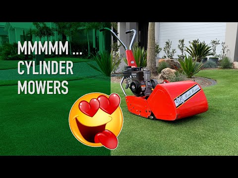 The Decibel Level of a Lawn Mower: What You Need to Know