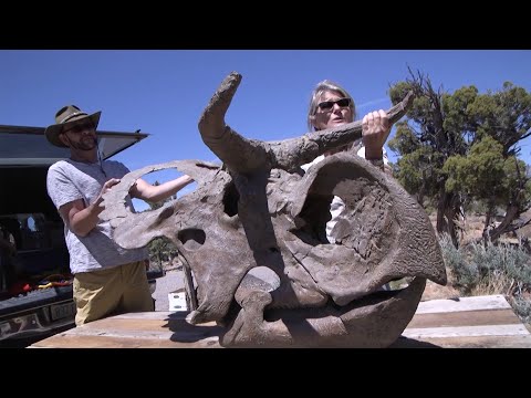 Understanding Cap 53 of the Antiquities and Monuments Ordinance