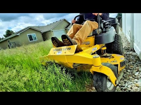 Common American Phrases: Do Americans Say Mow the Lawn?
