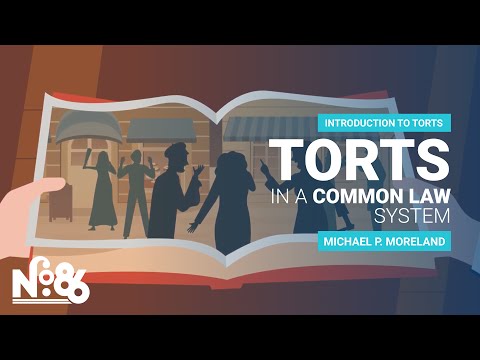 Understanding Tort Law in Common Law System